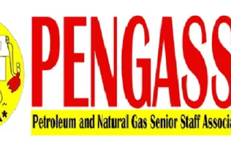Floating of currency responsible for Petrol price hike, not subsidy removal — PENGASSAN