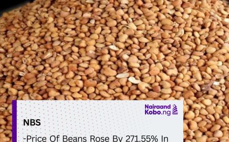 Price Of Beans Rose By 271.55% In August