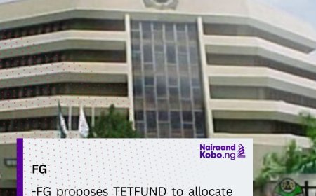 FG proposes TETFUND to allocate 30% of its funds for student loans