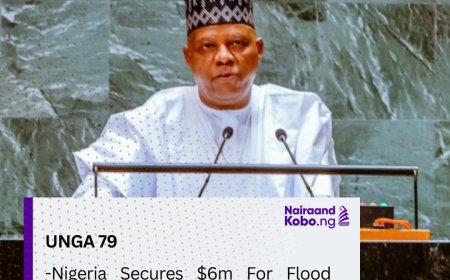 UNGA 79: Nigeria Secures $.6m For Flood Relief, Health, Agriculture