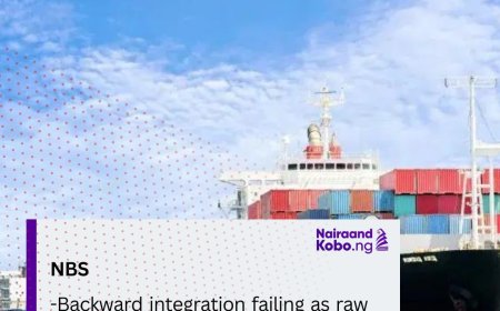 Backward integration failing as raw materials’ import soars 160.9%