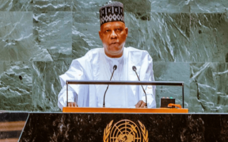 Nigeria, Mastercard partner to support 1mn African farmers