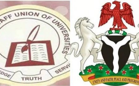 30 PhD Holders Resigned in Bauchi University Over Poor Pay—ASUU