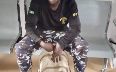 MetroFake policeman arrested for extortion in Adamawa