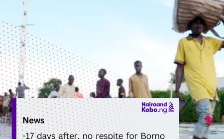 17 Days After, No Respite For Borno Flood Victims