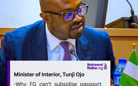 Why FG Can't Subsidise Passport Fees — Minister