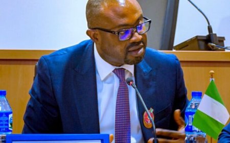 We’ve Over 80,000 Passports Booklets In Stock – Minister