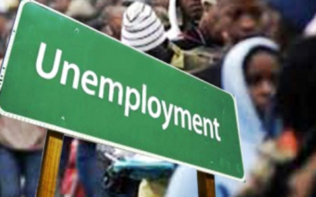 Rural unemployment rises to 4.3% in Q1 2024 as Nigeria’s labour force participation drops