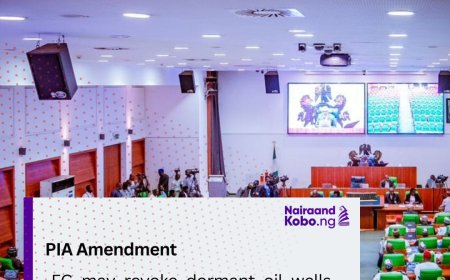 PIA amendment: FG may revoke dormant oil wells licences