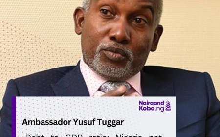 Debt to GDP ratio: Nigeria not among critically indebted nations, says Foreign Minister