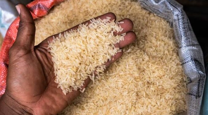 FG to use NIN for verification as it begins sale of 50kg rice at N40,000