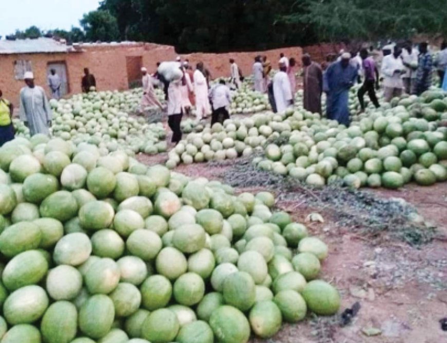 How sesame, melon farmers made fortunes in Taraba