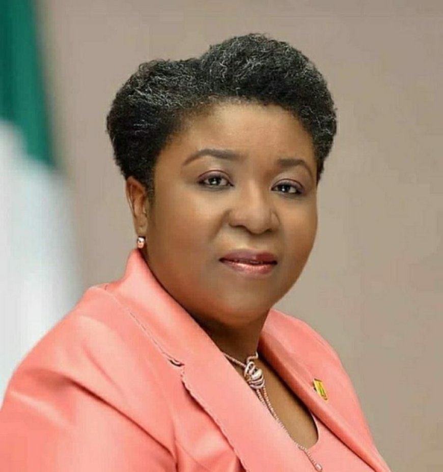 FG sets up platform to monitor civil service reforms