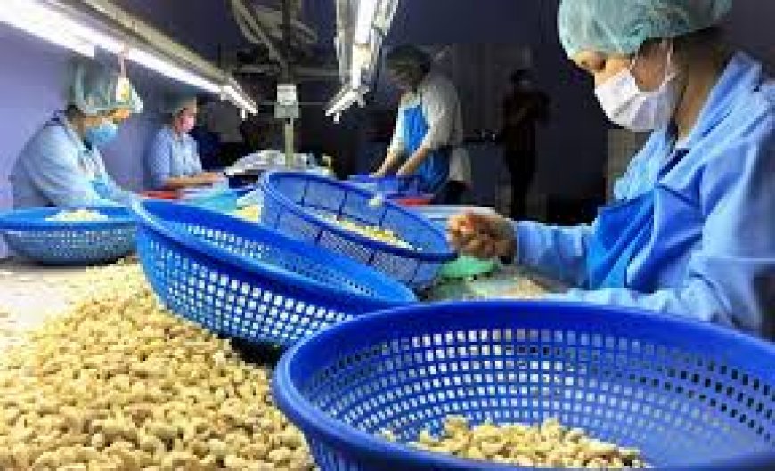 Ogun, NEPC to support cashew industry