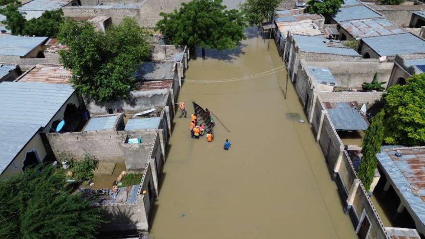 Prof. Yerima calls for urgent support for Borno flood victims