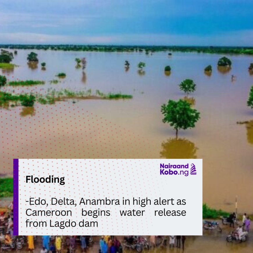 Flooding: Edo, Delta, Anambra in high alert as Cameroon begins water release from Lagdo dam