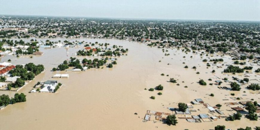 List of contributors as donations to Borno flood relief efforts surpasses N12 billion