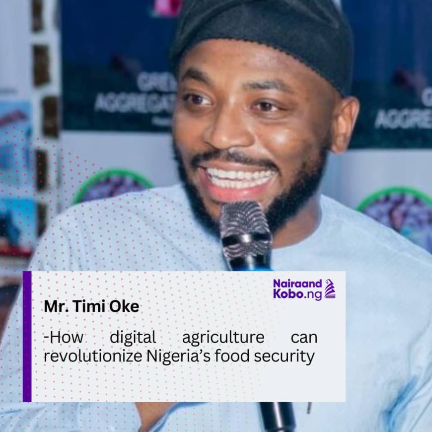 Mr. Timi Oke: How digital agriculture can revolutionize Nigeria’s food security