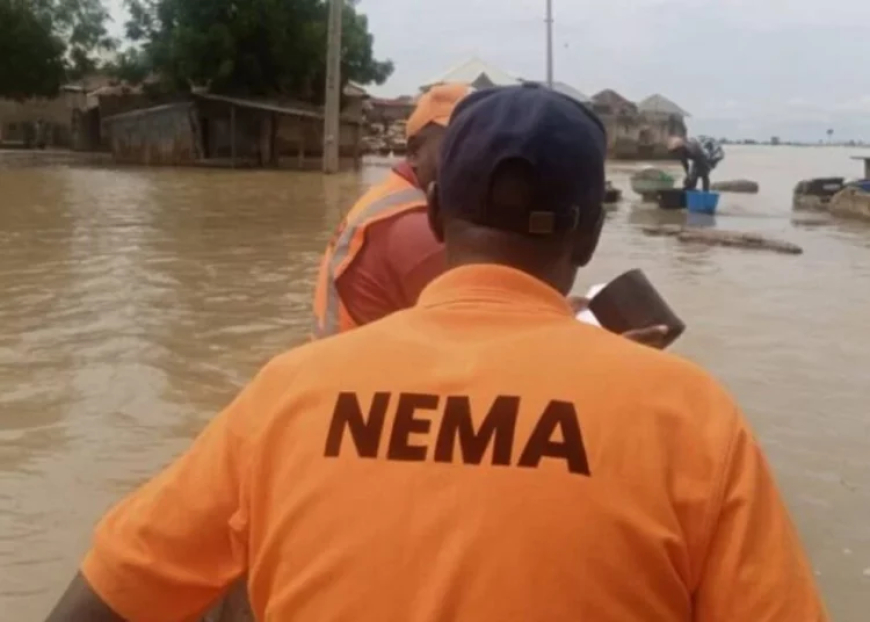 1m Affected, 94,741 Homeless, Farmlands Submerged by Flood – NEMA