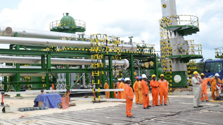 NNPC Opens Talks With Investors To Revive 2 LNG Projects