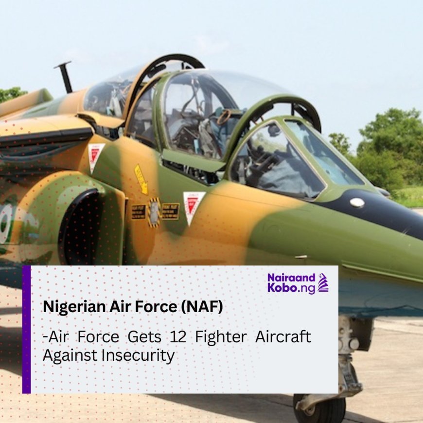 Air Force Gets 12 Fighter Aircraft Against Insecurity