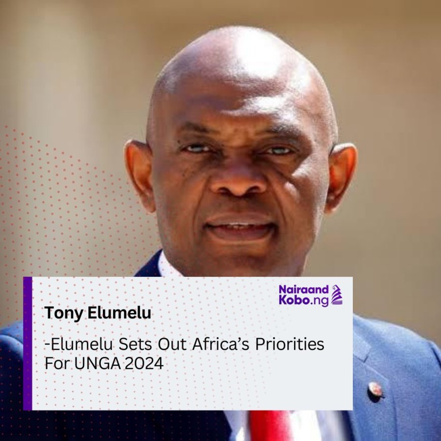 Elumelu Sets Out Africa’s Priorities For UNGA 2024