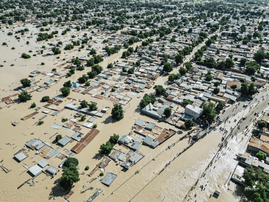 FEC approves establishment of disaster relief fund