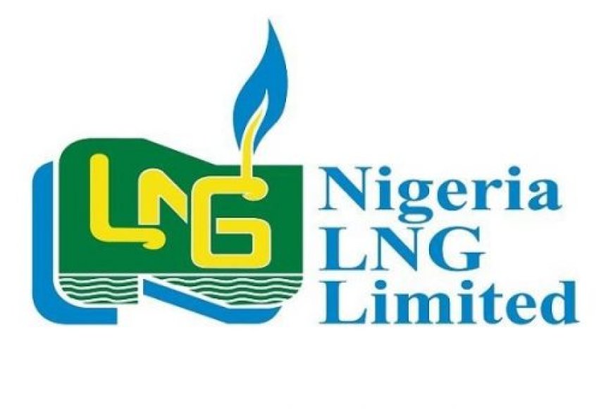 NLNG: Investment needed to drive energy transition