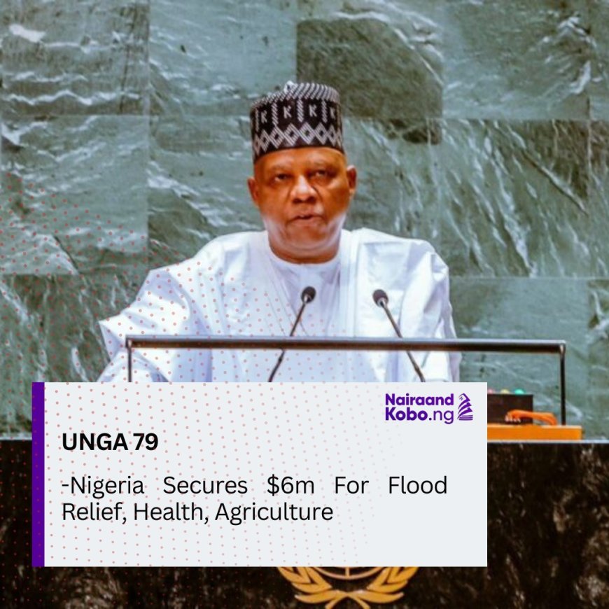 UNGA 79: Nigeria Secures $.6m For Flood Relief, Health, Agriculture