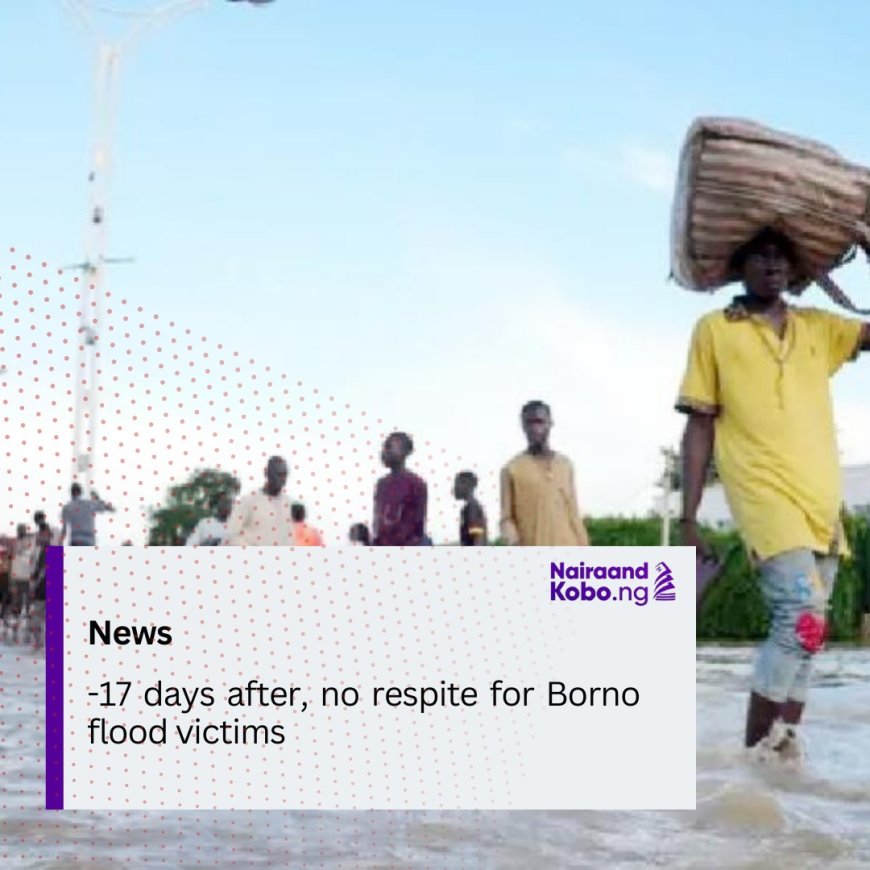 17 Days After, No Respite For Borno Flood Victims