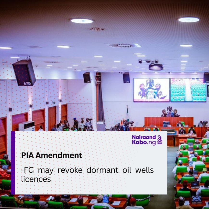 PIA amendment: FG may revoke dormant oil wells licences