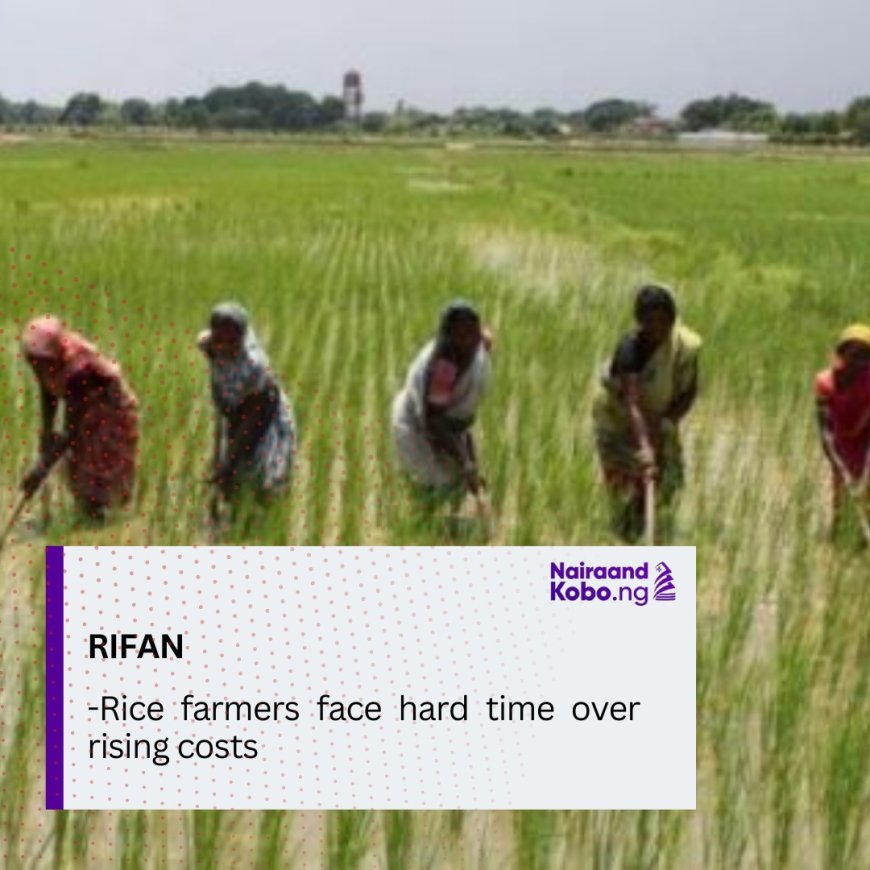 Rice farmers face hard time over rising costs