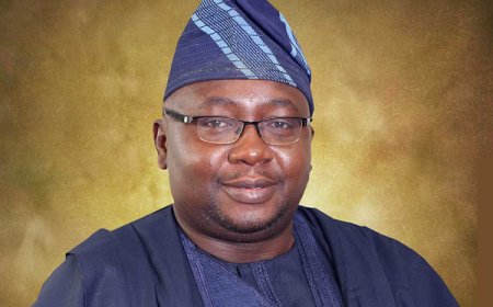 Adelabu: Over 40% of Nigerians now enjoy 20 hours of daily electricity supply
