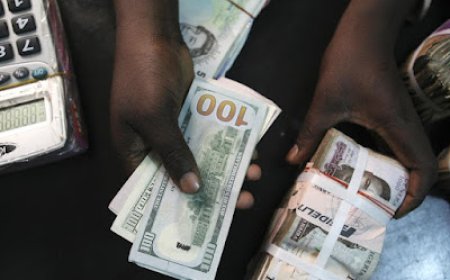 Naira under fresh pressure, ends September at N1,705/$ in parallel market