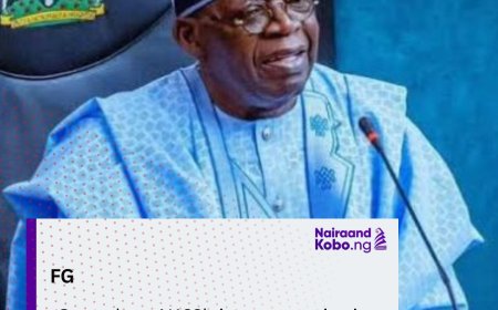 Fed. Govt okays N122b investment in six Indigenous firms