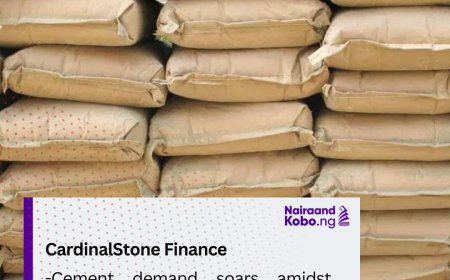 CEMENT: Demand soars amidst price hikes, declining purchasing power