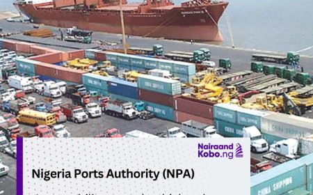 Import bill on used vehicles drops 83% to N138.62bn