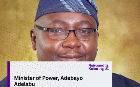 Consumers oppose minister on 20-hour power supply claim