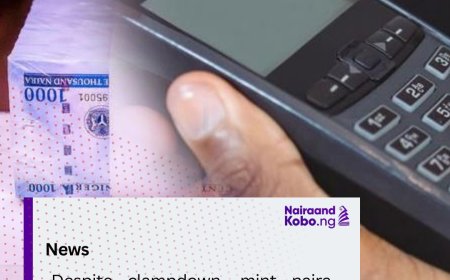 Despite Clampdown, Mint Naira Notes Sale, Spraying At Parties Persist