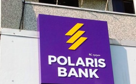 Polaris is top bank in MSME lending