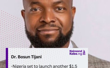 Nigeria set to launch another $1.5 million AI support fund—Bosun Tijani