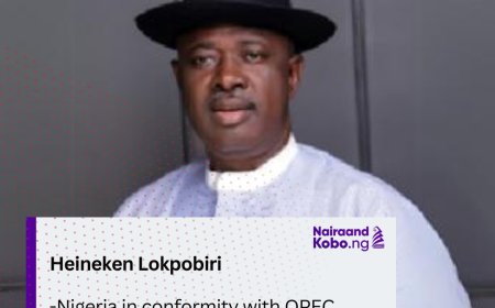Nigeria in conformity with OPEC quota, says Lokpobri