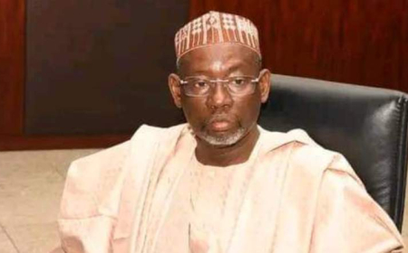 Dry Season Farming: Jigawa Targets 120,000 Hectares For Wheat Production