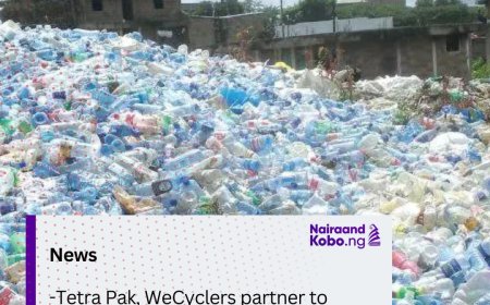 Tetra Pak, WeCyclers partner to tackle waste management in Lagos