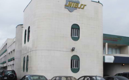 Palmpay, OPay, other mobile money operators process N41.5 trillion transactions in 7 months