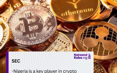 SEC: Nigeria is a key player in crypto market but trading is still volatile