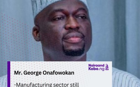 Manufacturing sector still challenged, says Coleman