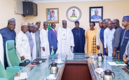 Federal Gov’t Partners Trans Sahara Consortium On Food Security