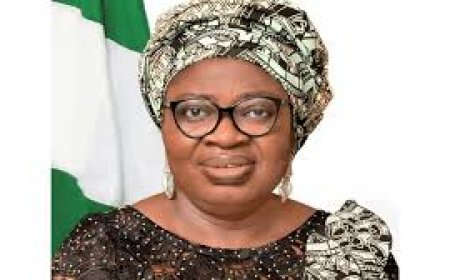 FG releases guidelines for tertiary institutions’ exit from IPPIS