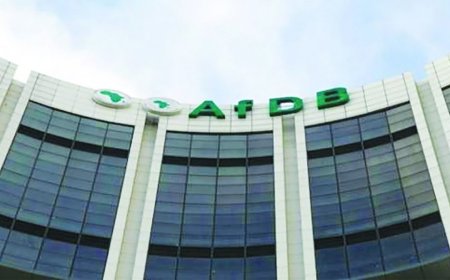 AfDB, BADEA pool additional $300m to co-finance SAPZ-2